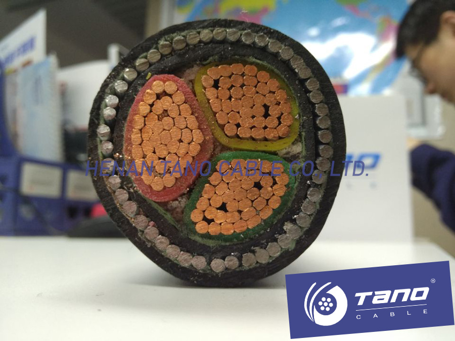 High quality 3×10 mm2 Low Smoke Flame Retardant CU XLPE PVC Underground Copper Power Cable Wire