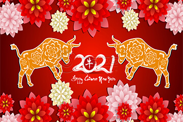 Chinese New Year Card